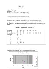 Statistinis tyrimas: popamokinė veikla 2 puslapis