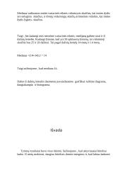 Statistinis tyrimas: popamokinė veikla 7 puslapis