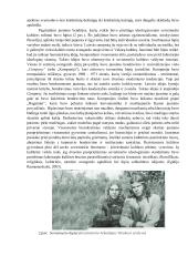 Neformalių jaunimo antisovietinių judėjimų Lietuvoje 1972-1990 metais įtaka šiais laikais 8 puslapis
