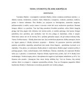 Studentų išlaidų krepšelis