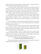 Studentų išlaidų krepšelis 4 puslapis