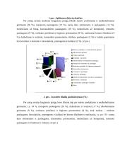 Studentų išlaidų krepšelis 5 puslapis