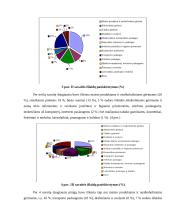 Studentų išlaidų krepšelis 6 puslapis