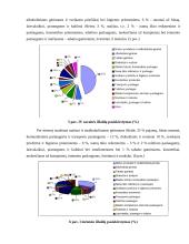 Studentų išlaidų krepšelis 7 puslapis
