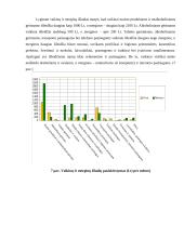 Studentų išlaidų krepšelis 8 puslapis