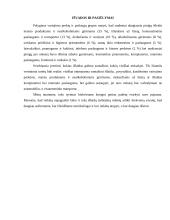 Studentų išlaidų krepšelis 9 puslapis