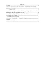 Studentų laiko biudžetas 2 puslapis