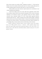 Studentų laiko biudžetas 11 puslapis