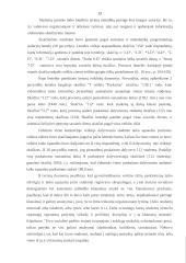 Studentų laiko biudžetas 13 puslapis