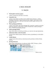 Sporto klubo  SSGG analizė 5 puslapis