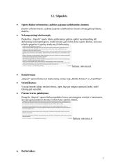 Sporto klubo  SSGG analizė 6 puslapis