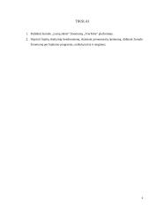 Rinkodaros planas. Žurnalas „Lamų slėnis“ 2 puslapis