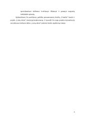 Rinkodaros planas. Žurnalas „Lamų slėnis“ 5 puslapis