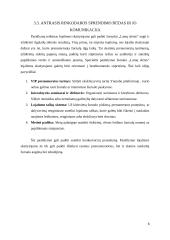 Rinkodaros planas. Žurnalas „Lamų slėnis“ 7 puslapis