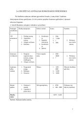 Rinkodaros planas. Žurnalas „Lamų slėnis“ 8 puslapis