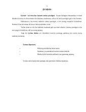 Studentų nuomonės tyrimas: kavinės paslaugų paklausa 2 puslapis