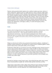 Švietimas Antikoje 5 puslapis