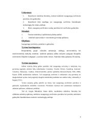 Suaugusiųjų savišvietos poreikiai ir galimybės 4 puslapis