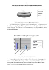 Sveikatos apsaugos sistema 6 puslapis