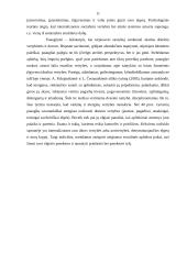 Šeduvos technologijų ir verslo mokyklos mokinių vertybių tyrimas 11 puslapis