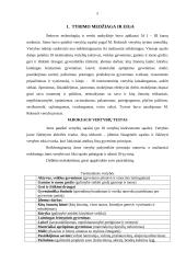 Šeduvos technologijų ir verslo mokyklos mokinių vertybių tyrimas 5 puslapis