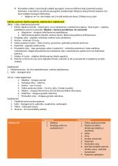 Baudžiamosios teisės bendroji dalis. Konspektas 17 puslapis