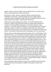 Ar galima Kuprelį vadinti ypatinga asmenybe? 1 puslapis