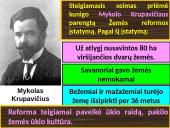 Steigiamojo Seimo veikla 11 puslapis