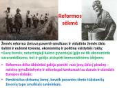 Steigiamojo Seimo veikla 13 puslapis