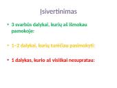 Steigiamojo Seimo veikla 18 puslapis