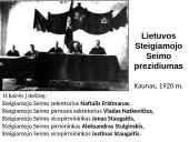 Steigiamojo Seimo veikla 4 puslapis
