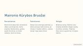 Maironio individualioji kūryba 2 puslapis