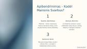 Maironio individualioji kūryba 10 puslapis