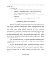 Tautinių simbolių internalizacija jaunimo tarpe 12 puslapis