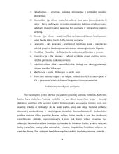 Tautinių simbolių internalizacija jaunimo tarpe 13 puslapis