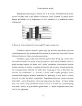 Tautinių simbolių internalizacija jaunimo tarpe 17 puslapis