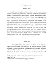 Tautinių simbolių internalizacija jaunimo tarpe 3 puslapis