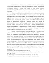 Tautinių simbolių internalizacija jaunimo tarpe 4 puslapis