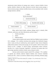 Tautinių simbolių internalizacija jaunimo tarpe 5 puslapis