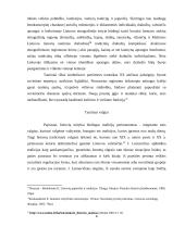 Tautinių simbolių internalizacija jaunimo tarpe 6 puslapis