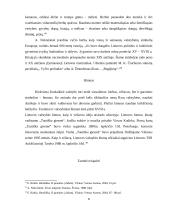 Tautinių simbolių internalizacija jaunimo tarpe 9 puslapis