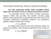 Matematinė svyruoklė (skaidrės) 19 puslapis