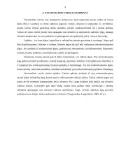 Technologijų perdavimo svarba nacionaliniame ir tarptautiniame kontekste 2 puslapis