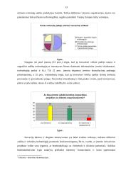 Technologijų perdavimo svarba nacionaliniame ir tarptautiniame kontekste 11 puslapis