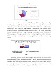 Technologijų perdavimo svarba nacionaliniame ir tarptautiniame kontekste 13 puslapis