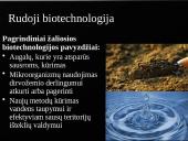 Biotechnologijos ir jų reikšmė 10 puslapis