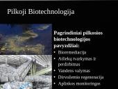 Biotechnologijos ir jų reikšmė 13 puslapis