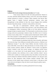 Tėvystės atostogos Lietuvoje 3 puslapis