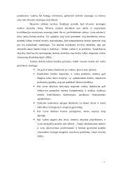 Tėvystės atostogos Lietuvoje 7 puslapis