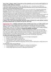 Verslo organizavimo formos (konspektas) 4 puslapis